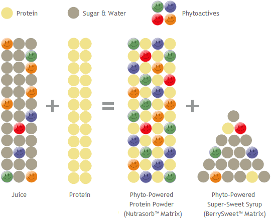 Nutrasorb process explained