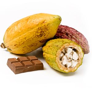 Cocoa